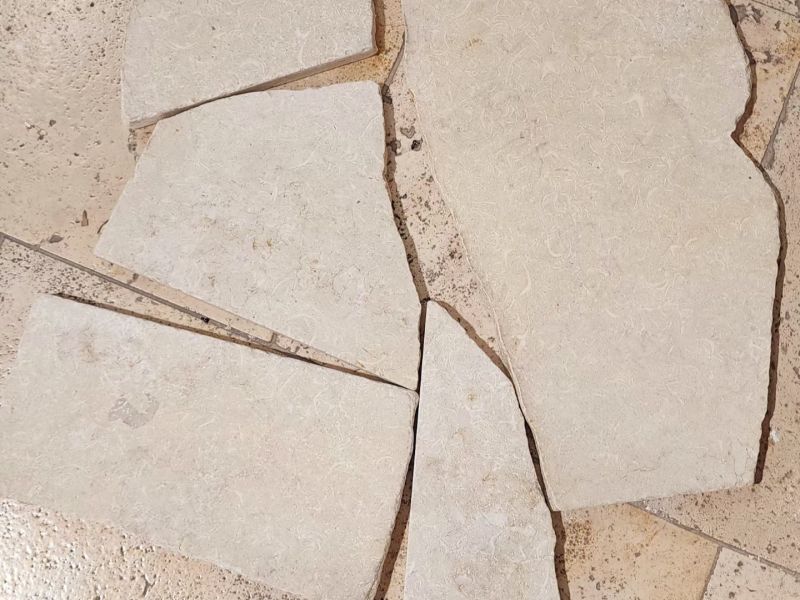 פלחי אבן פוסיל (אמורפי) עובי 2 ס